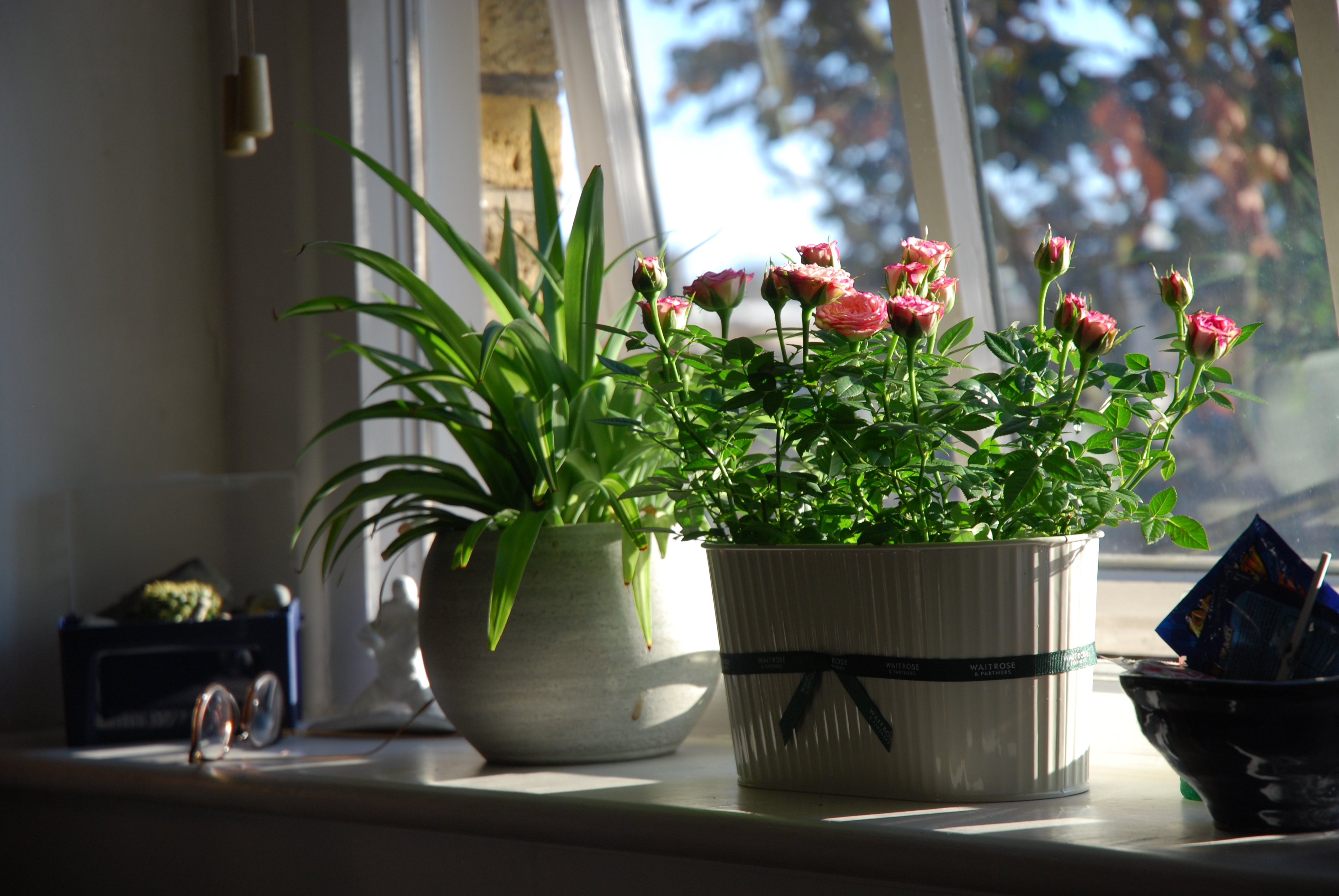 A housewarming gift